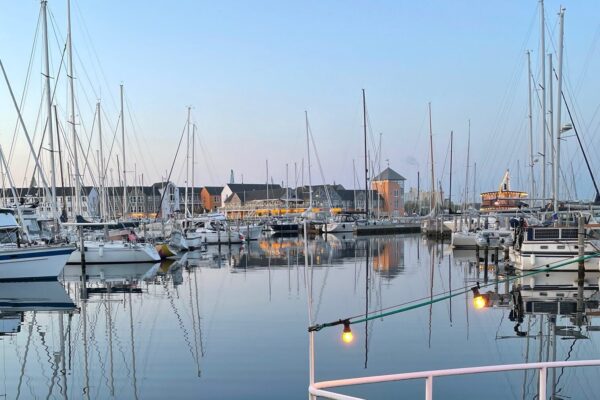 freelance markedsføringsspecialist